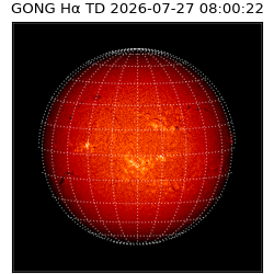 gong - 2026-07-27T08:00:22