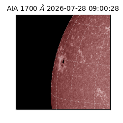 saia - 2026-07-28T09:00:28.717000