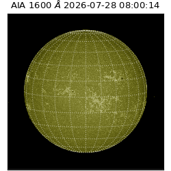 saia - 2026-07-28T08:00:14.122000