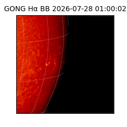 gong - 2026-07-28T01:00:02