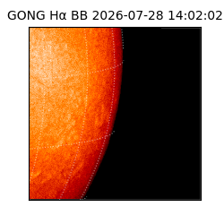 gong - 2026-07-28T14:02:02