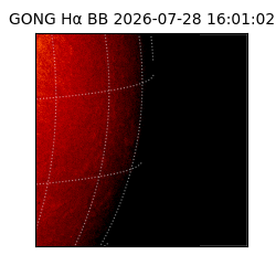 gong - 2026-07-28T16:01:02