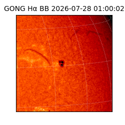 gong - 2026-07-28T01:00:02