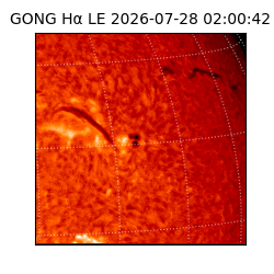 gong - 2026-07-28T02:00:42
