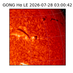 gong - 2026-07-28T03:00:42