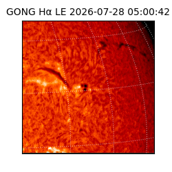 gong - 2026-07-28T05:00:42
