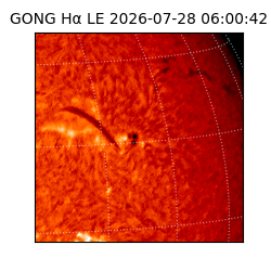 gong - 2026-07-28T06:00:42