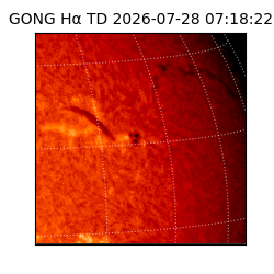 gong - 2026-07-28T07:18:22