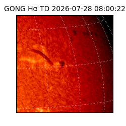gong - 2026-07-28T08:00:22