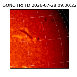 gong - 2026-07-28T09:00:22