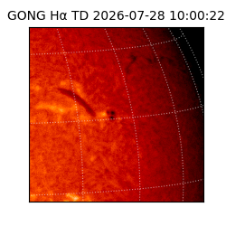 gong - 2026-07-28T10:00:22