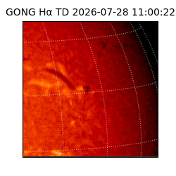 gong - 2026-07-28T11:00:22