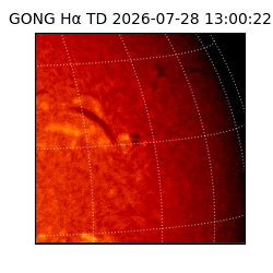 gong - 2026-07-28T13:00:22