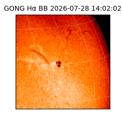 gong - 2026-07-28T14:02:02