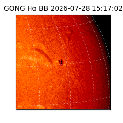 gong - 2026-07-28T15:17:02