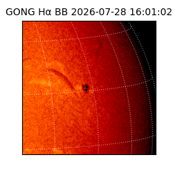 gong - 2026-07-28T16:01:02
