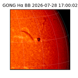 gong - 2026-07-28T17:00:02