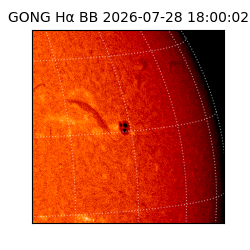 gong - 2026-07-28T18:00:02