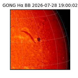 gong - 2026-07-28T19:00:02