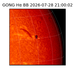 gong - 2026-07-28T21:00:02