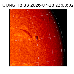 gong - 2026-07-28T22:00:02