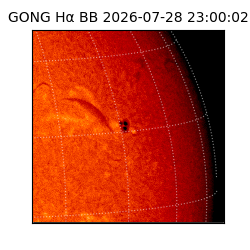 gong - 2026-07-28T23:00:02