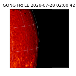 gong - 2026-07-28T02:00:42