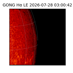 gong - 2026-07-28T03:00:42