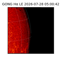 gong - 2026-07-28T05:00:42