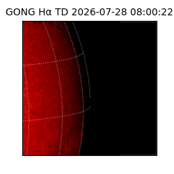 gong - 2026-07-28T08:00:22