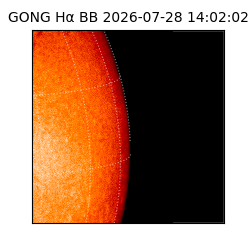 gong - 2026-07-28T14:02:02