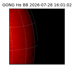 gong - 2026-07-28T16:01:02