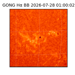 gong - 2026-07-28T01:00:02