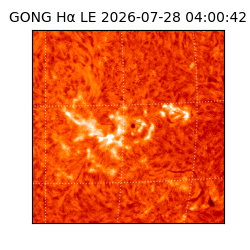 gong - 2026-07-28T04:00:42