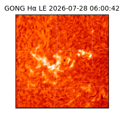 gong - 2026-07-28T06:00:42