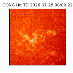 gong - 2026-07-28T08:00:22