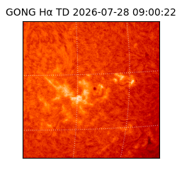 gong - 2026-07-28T09:00:22