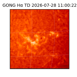 gong - 2026-07-28T11:00:22