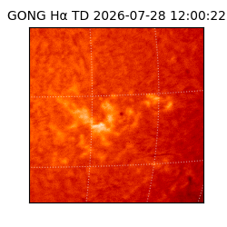 gong - 2026-07-28T12:00:22