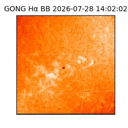 gong - 2026-07-28T14:02:02
