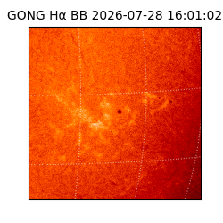 gong - 2026-07-28T16:01:02