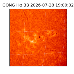 gong - 2026-07-28T19:00:02