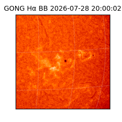 gong - 2026-07-28T20:00:02