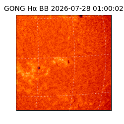 gong - 2026-07-28T01:00:02