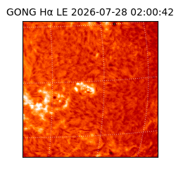 gong - 2026-07-28T02:00:42