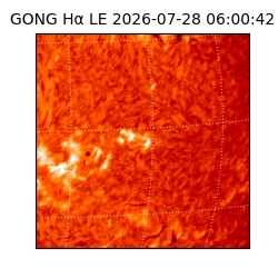 gong - 2026-07-28T06:00:42