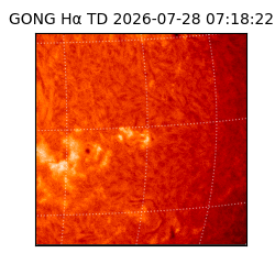 gong - 2026-07-28T07:18:22