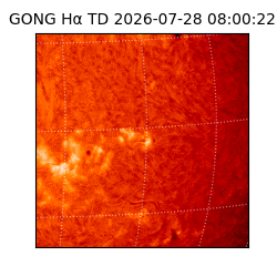 gong - 2026-07-28T08:00:22