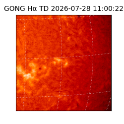 gong - 2026-07-28T11:00:22