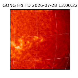 gong - 2026-07-28T13:00:22